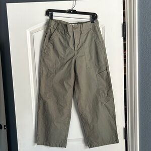 Agolde Daria Utility Cargo Pants